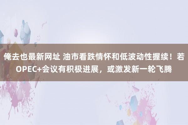 俺去也最新网址 油市看跌情怀和低波动性握续！若OPEC+会议有积极进展，或激发新一轮飞腾