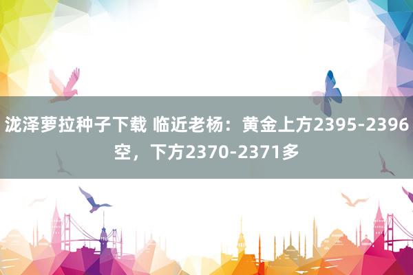 泷泽萝拉种子下载 临近老杨：黄金上方2395-2396空，下方2370-2371多