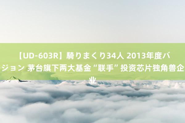 【UD-603R】騎りまくり34人 2013年度バージョン 茅台旗下两大基金“联手”投资芯片独角兽企业