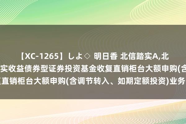 【XC-1265】しよ◇ 明日香 北信踏实A,北信踏实C: 对于北信瑞丰踏实收益债券型证券投资基金收复直销柜台大额申购(含调节转入、如期定额投资)业务的公告