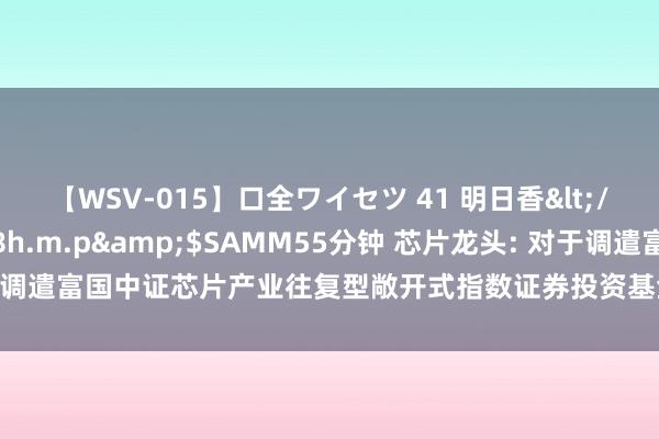 【WSV-015】口全ワイセツ 41 明日香</a>2003-07-18h.m.p&$SAMM55分钟 芯片龙头: 对于调遣富国中证芯片产业往复型敞开式指数证券投资基金最小申购、赎回单元的公告