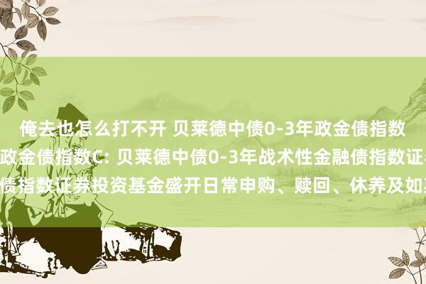 俺去也怎么打不开 贝莱德中债0-3年政金债指数A,贝莱德中债0-3年政金债指数C: 贝莱德中债0-3年战术性金融债指数证券投资基金盛开日常申购、赎回、休养及如期定额投资业务公告