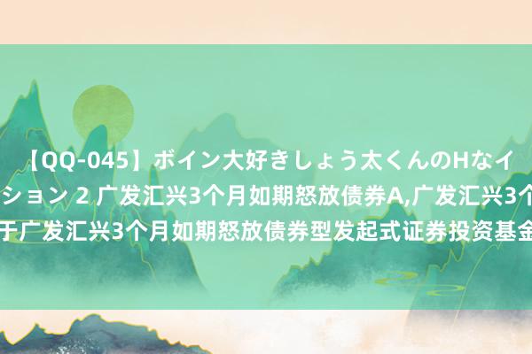 【QQ-045】ボイン大好きしょう太くんのHなイタズラ BESTセレクション 2 广发汇兴3个月如期怒放债券A,广发汇兴3个月如期怒放债券C: 对于广发汇兴3个月如期怒放债券型发起式证券投资基金还原个东说念主投资者申购(含相同转入)业务的公告