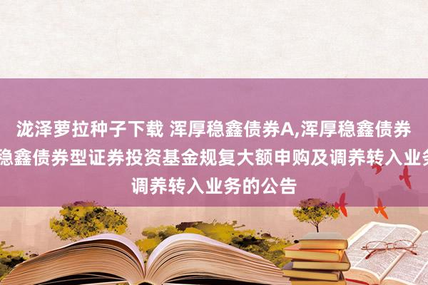 泷泽萝拉种子下载 浑厚稳鑫债券A,浑厚稳鑫债券C: 浑厚稳鑫债券型证券投资基金规复大额申购及调养转入业务的公告