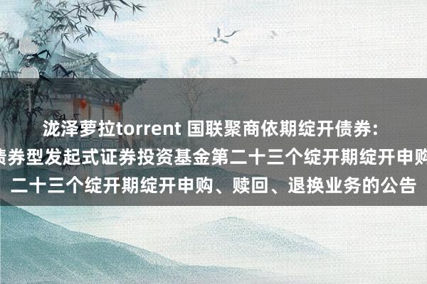 泷泽萝拉torrent 国联聚商依期绽开债券: 国联聚商3个月依期绽开债券型发起式证券投资基金第二十三个绽开期绽开申购、赎回、退换业务的公告