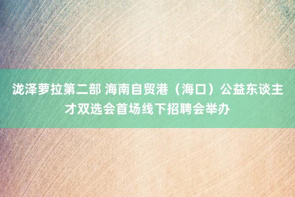 泷泽萝拉第二部 海南自贸港（海口）公益东谈主才双选会首场线下招聘会举办