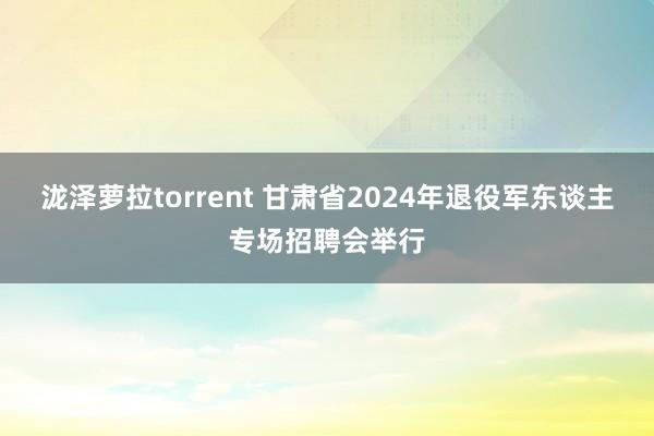 泷泽萝拉torrent 甘肃省2024年退役军东谈主专场招聘会举行