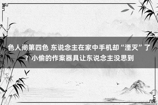 色人阁第四色 东说念主在家中手机却“湮灭”了？小偷的作案器具让东说念主没思到