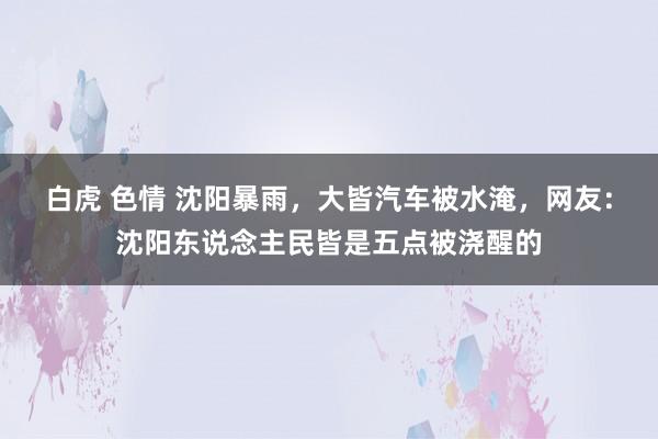 白虎 色情 沈阳暴雨，大皆汽车被水淹，网友：沈阳东说念主民皆是五点被浇醒的