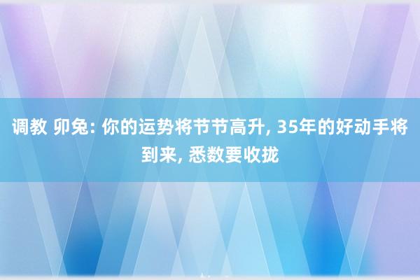 调教 卯兔: 你的运势将节节高升, 35年的好动手将到来, 悉数要收拢