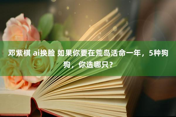 邓紫棋 ai换脸 如果你要在荒岛活命一年，5种狗狗，你选哪只？