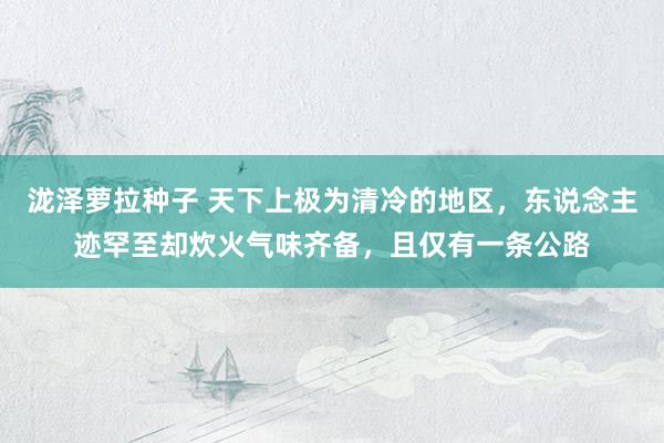 泷泽萝拉种子 天下上极为清冷的地区，东说念主迹罕至却炊火气味齐备，且仅有一条公路