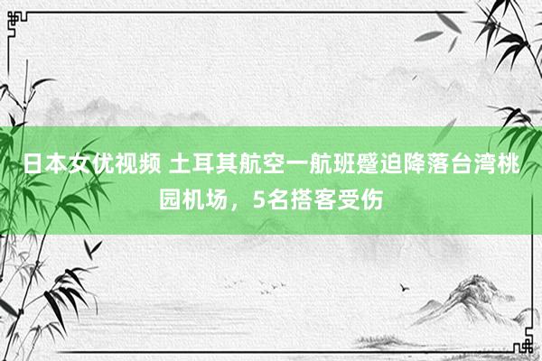 日本女优视频 土耳其航空一航班蹙迫降落台湾桃园机场，5名搭客受伤